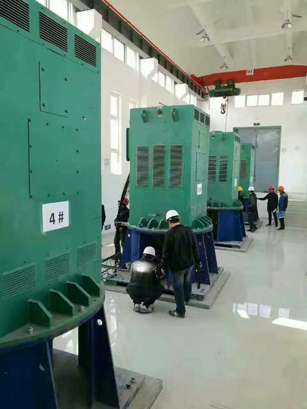 Y5603-8某污水处理厂使用我厂的立式高压电机安装现场