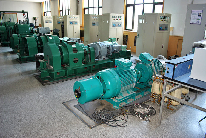 Y5603-8某热电厂使用我厂的YKK高压电机提供动力