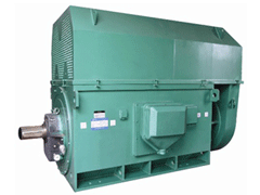 Y5603-8Y系列6KV高压电机