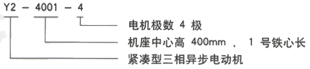 YR系列(H355-1000)高压Y5603-8三相异步电机西安西玛电机型号说明